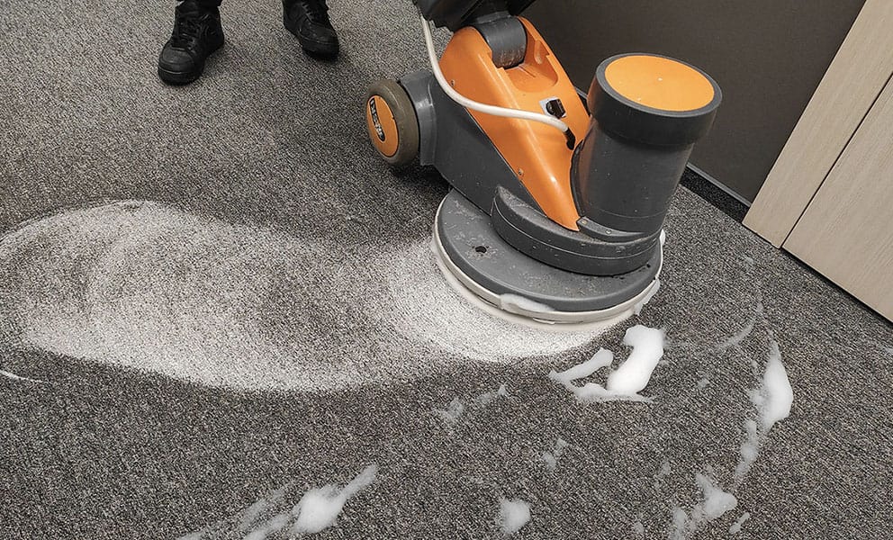 Professional carpet cleaning service demonstration