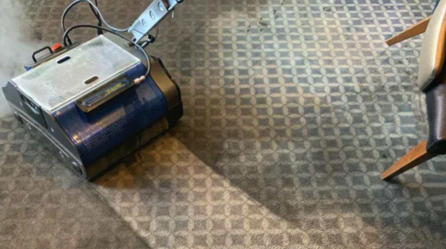 Eco-friendly carpet maintenance service